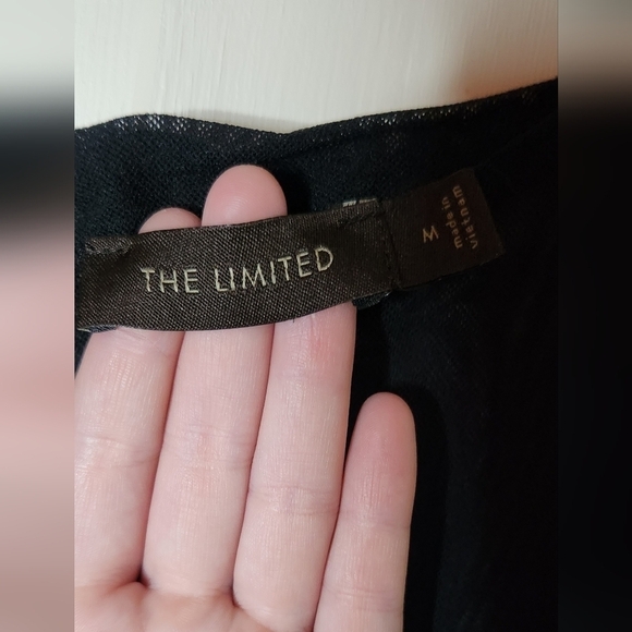 The Limited Medium Black Polkadot Mesh Sleeve Dress - Picture 3 of 4